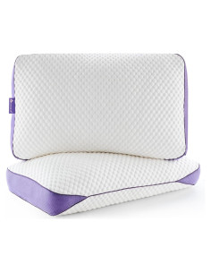 HOMELAB Almohadas de Espuma de Memoria Ajustables Queen 2 Pzas