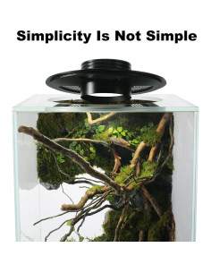 Terrario de Vidrio con Luz de Crecimiento 10W para Suculentas 2