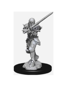 Miniaturas Sin Pintar D&D Nolzur Guerrero Humano Femenino