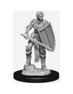 Miniaturas Sin Pintar D&D Nolzur Guerrero Humano Femenino 2