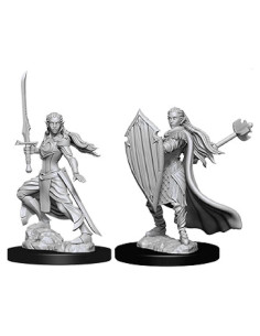 Miniaturas Sin Pintar D&D Nolzur Paladín Elfa Femenina 2u
