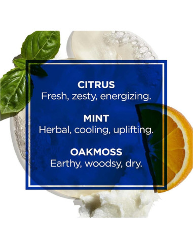 Gel de Ducha Todo en Uno Jack Black 296 ml - Cuidado Masculino