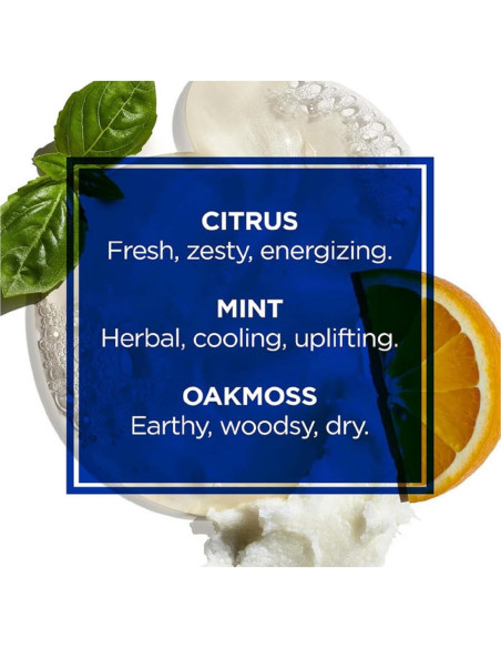 Gel de Ducha Todo en Uno Jack Black 296 ml - Cuidado Masculino