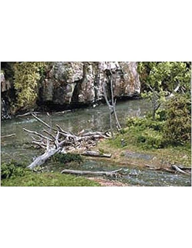 Ramas Caídas Woodland Scenics 14.17g - 1 Paquete