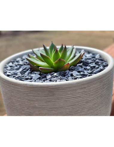 Grava de piedra pizarra natural 1/8 a 1/4" 0.45 kg Small World