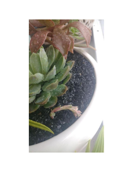 Arena Gruesa Natural 0,23 kg Small World para Manualidades