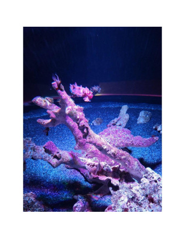 Grava de piedra pizarra natural 1/8 a 1/4" 0.45 kg Small World