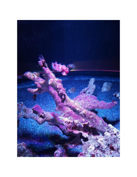 Grava de piedra pizarra natural 1/8 a 1/4" 0.45 kg Small World Grava de piedra pizarra natural 1/8 a 1/4" 0.45 kg Small World