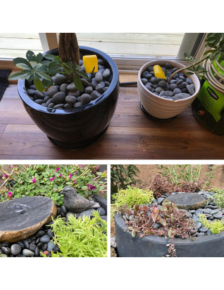 Piedras Naturales de Río 8,16 kg para Jardín CJGQ Piedras Naturales de Río 8,16 kg para Jardín CJGQ