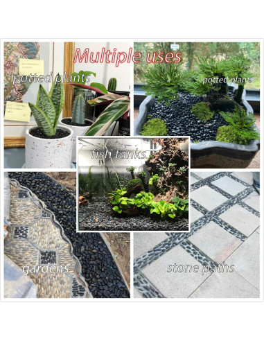 Piedras de río naturales Nasrslla 100pcs 2.54-3.81 cm