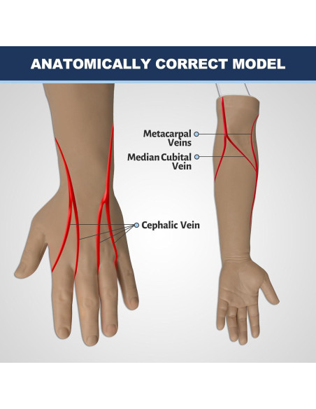 Kit de Práctica de Inyección IV Medarchitect MA0041