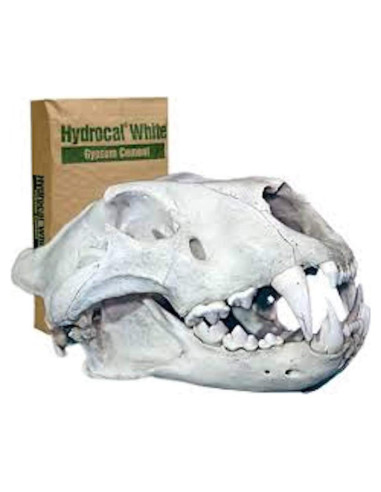 Yeso Hydrocal Capital Ceramics 4.74 kg para Modelado