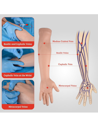 SimCoach Kit de Práctica de Flebotomía IV con Brazo Realista