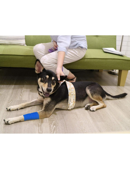 9 Rollos de Cinta Adhesiva FRESINIDER para Lesiones Azul