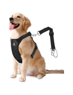 Cinturón de Seguridad para Perros VavoPaw Grande Negro