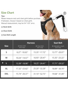 Cinturón de Seguridad para Perros VavoPaw Grande Negro 2