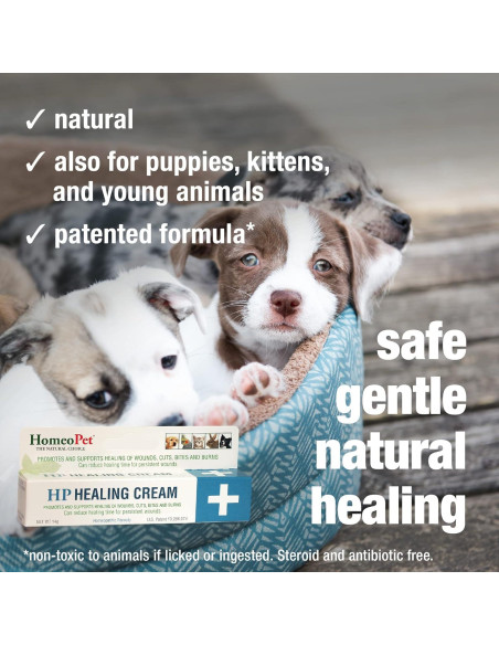 Crema Sanadora HomeoPet HP para Heridas en Mascotas 14g
