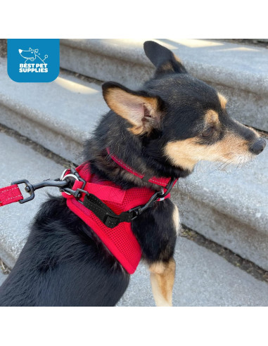 Clip de Seguridad para Collar de Perro Best Pet Supplies