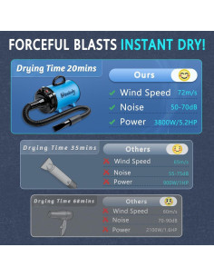 Secador de Pelo Profesional para Perros Blanlody 3800W Azul 2