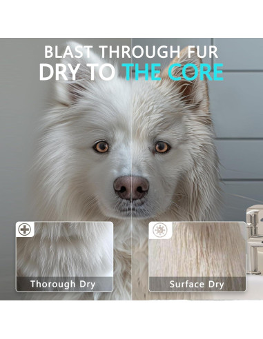 Secador de Pelo Profesional para Perros Blanlody 3800W Azul