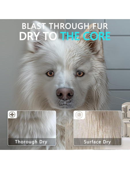 Secador de Pelo Profesional para Perros Blanlody 3800W Azul