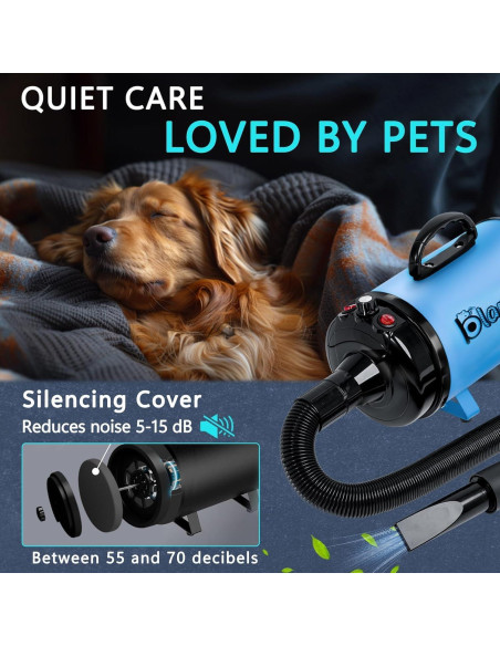 Secador de Pelo Profesional para Perros Blanlody 3800W Azul