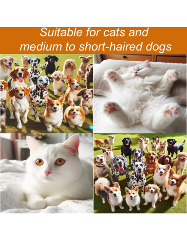 Secador de Pelo para Mascotas ENUKYCOM 300W 5 en 1