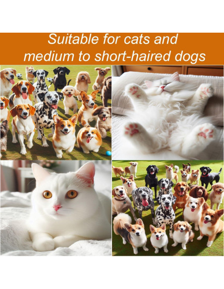 Secador de Pelo para Mascotas ENUKYCOM 300W 5 en 1