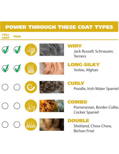 Cortadora Eléctrica para Perros Wahl Easy Pro - Recargable 9549 2