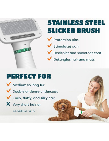 Secador de Pelo 2 en 1 KUUBIA para Perros y Gatos Pequeños 300W