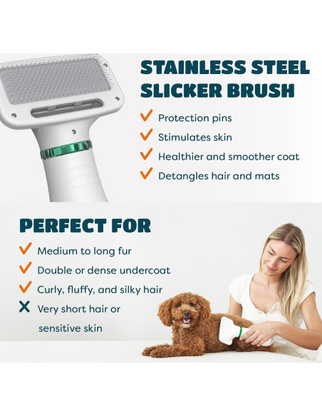 Secador de Pelo 2 en 1 KUUBIA para Perros y Gatos Pequeños 300W