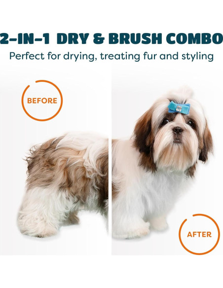 Secador de Pelo 2 en 1 KUUBIA para Perros y Gatos Pequeños 300W