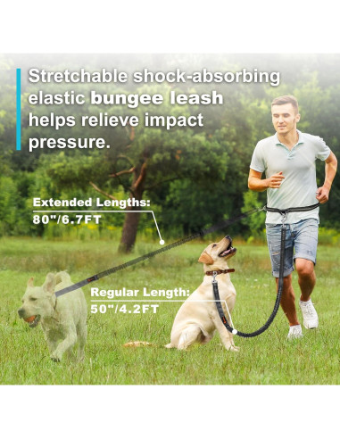 Correa para Perros Manos Libres Laqibak Ajustable 1.28-2.03m