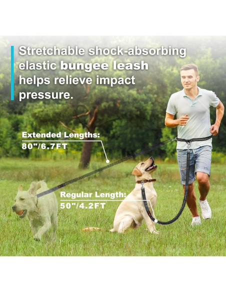 Correa para Perros Manos Libres Laqibak Ajustable 1.28-2.03m