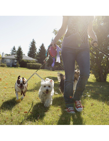 Correa Doble para Perros Pettom 3.5mm 60cm Metal Giratorio