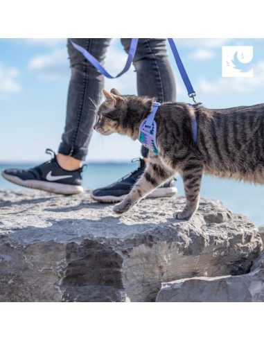 Arnés para Gatos RC Pets Aventura Ajustable Negro Pequeño