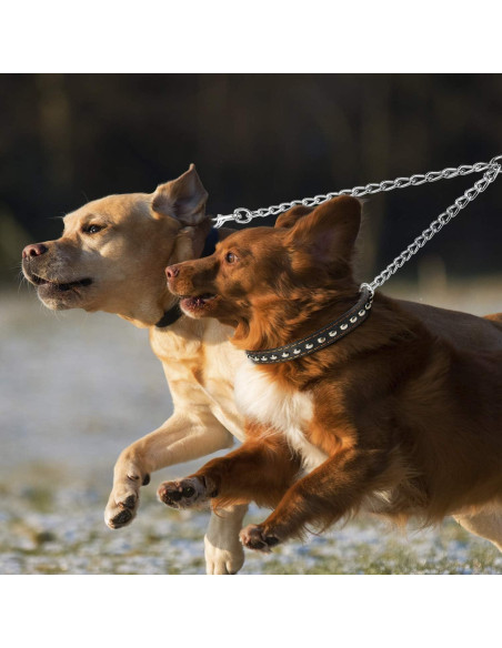 Correa Doble para Perros Pettom 3.5mm 60cm Metal Giratorio