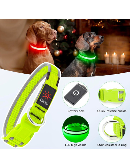 Collar de Perro LED Yuansen Verde Neón Pequeño Recargable