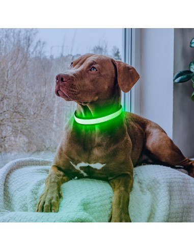 Collar de Perro LED Yuansen Verde Neón Pequeño Recargable