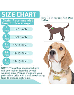 Collar de Cadena para Perros Hillban Dorado 35.6 cm con Etiqueta 2