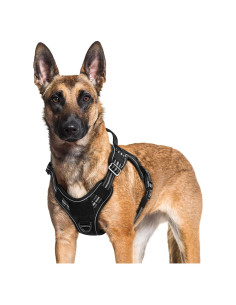 Arnés para Perros Rabbitgoo XL Negro Ajustable y Reflectante