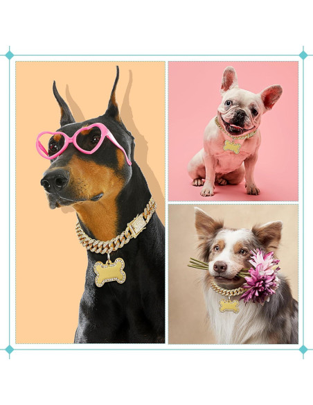 Collar de Cadena para Perros Hillban Dorado 35.6 cm con Etiqueta