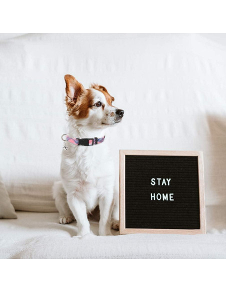 Arnés Ajustable PUPTECK para Perros Pequeños y Medianos Rosa S Arnés Ajustable PUPTECK para Perros Pequeños y Medianos Rosa S