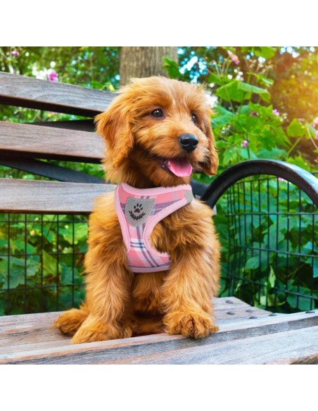 Arnés Ajustable PUPTECK para Perros Pequeños y Medianos Rosa S Arnés Ajustable PUPTECK para Perros Pequeños y Medianos Rosa S