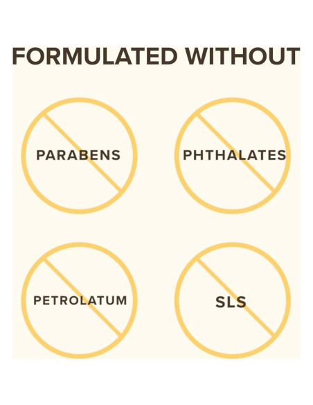 Balm de Labios Medicado Burt's Bees 4 Tubos 4.25 g Natural