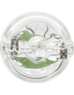 Bombilla Wagner BP194LL LongLife HD 2 unidades para vehículos 2