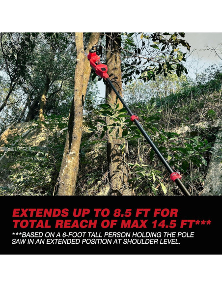 Sierra de Poste Inalámbrica 2-en-1 EVOIRON 10" con Motosierra