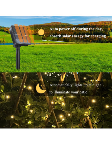 Paquete de 2 Luces de Cadena Solares Selarlyt 22m 200 LED IP65