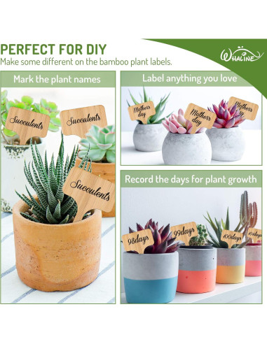 Etiquetas de Plantas de Bambú Whaline 50 Pcs con Bolígrafo
