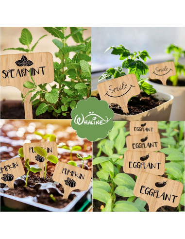 Etiquetas de Plantas de Bambú Whaline 50 Pcs con Bolígrafo